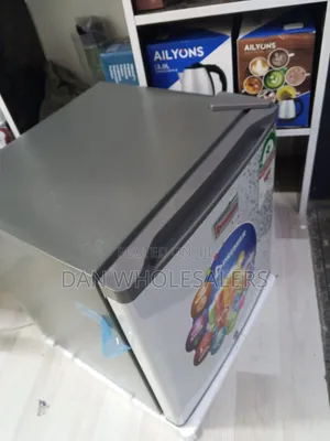 50 Liters Premier Fridge Silver Mini Cooler