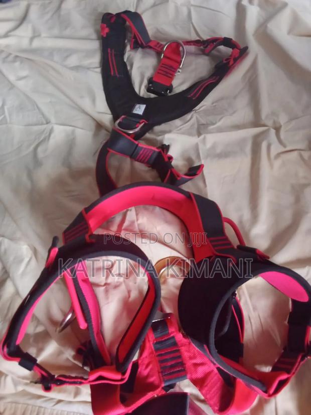 Safety Harness - thumbnail 2