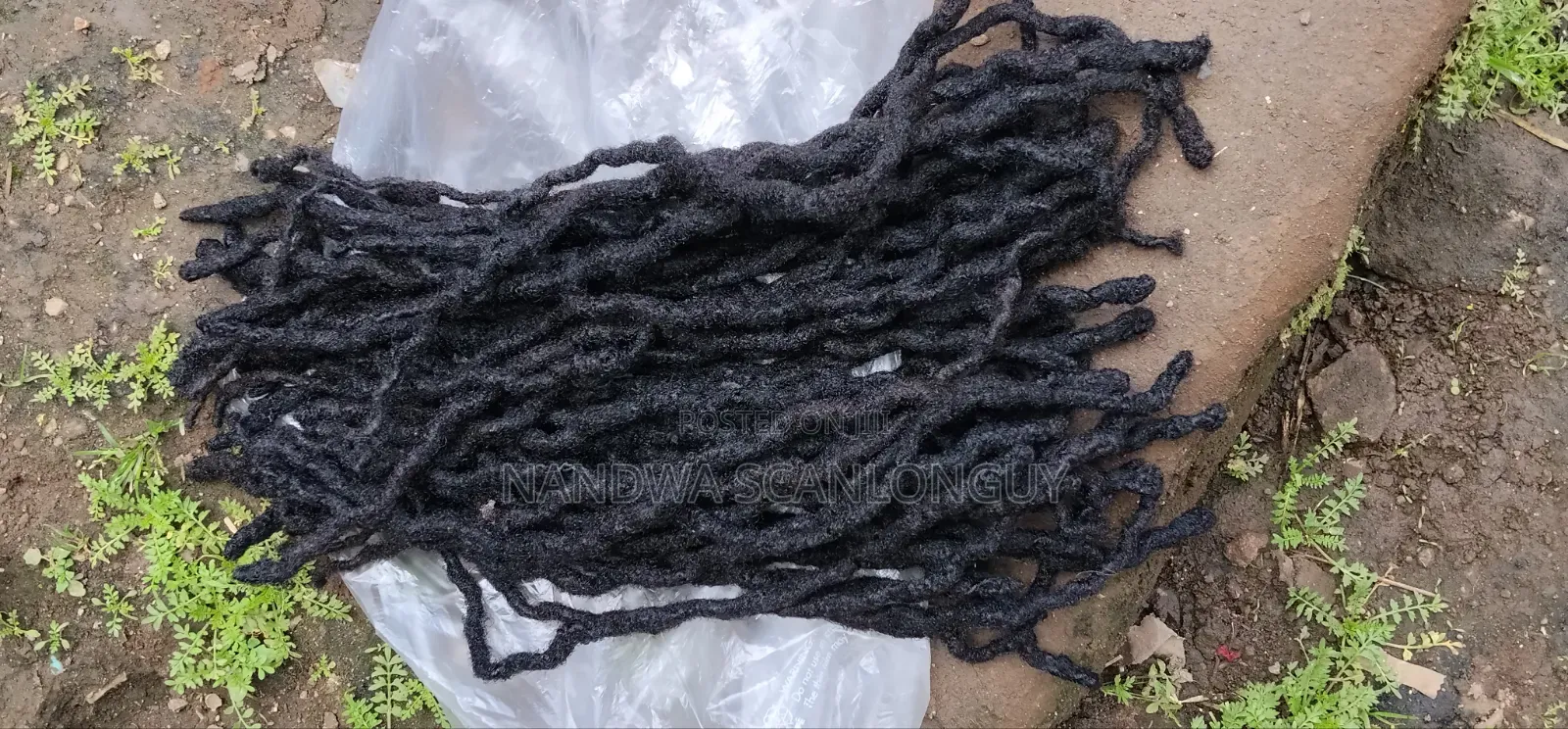 Natural Dreadlocks