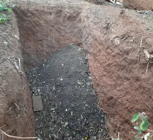 Goat and Chicken Manure.