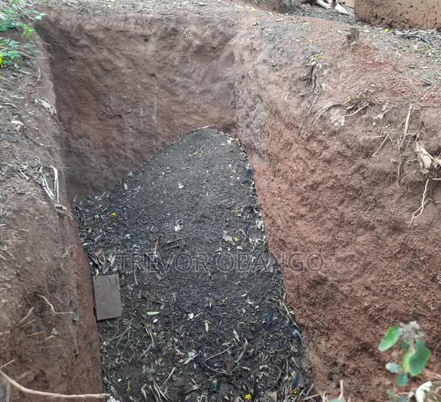 Goat and Chicken Manure.