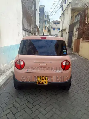 Suzuki AP 2015 Pink