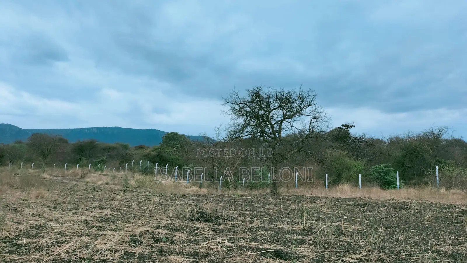 Own Your Slice of Thatha Hills