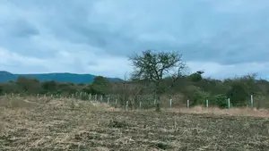 Own Your Slice of Thatha Hills