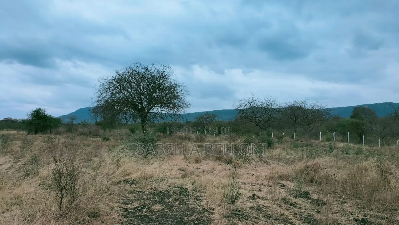 Own Your Slice of Thatha Hills
