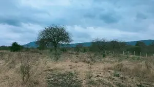 Own Your Slice of Thatha Hills