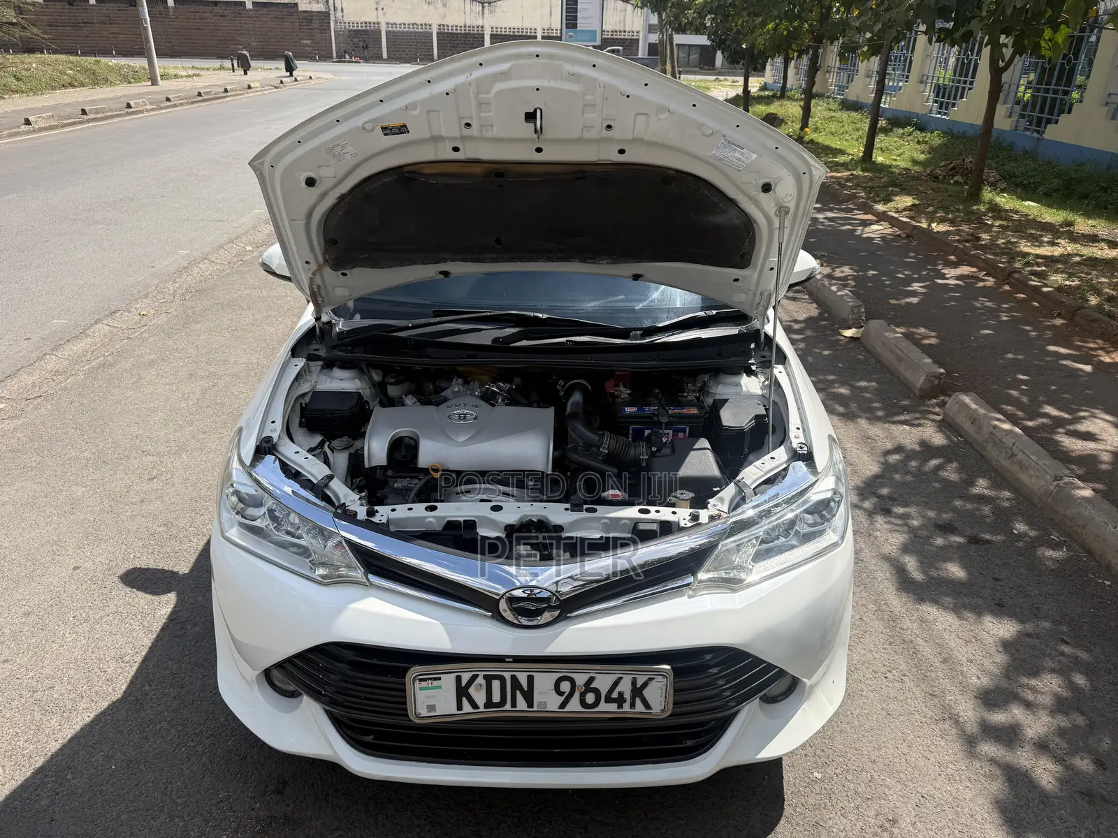 Toyota Corolla Fielder 2016 Pearl