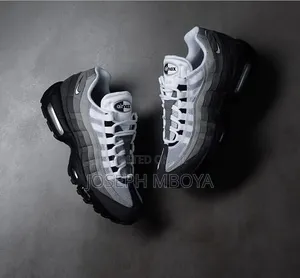 Clean Airmax95