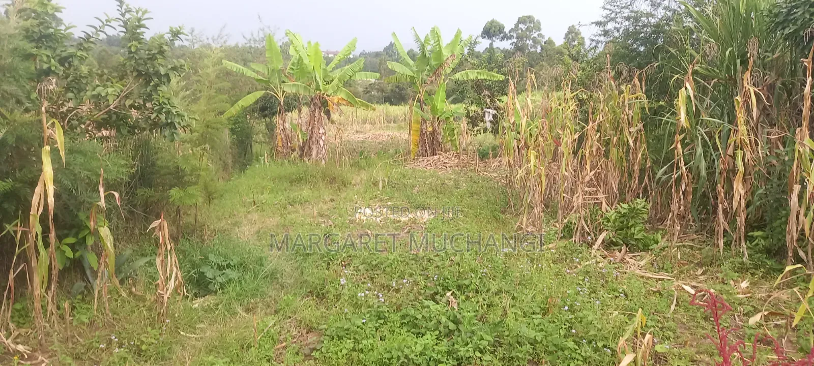 Land on Sale, No Brokers Involved,direct Sale From Owner.