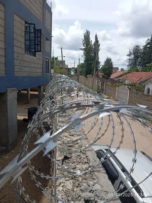 Silver Razors Wire(10meters)