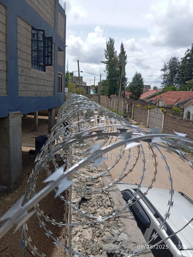 Silver Razors Wire(10meters)