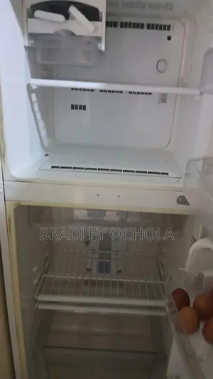 Samsung Fridge