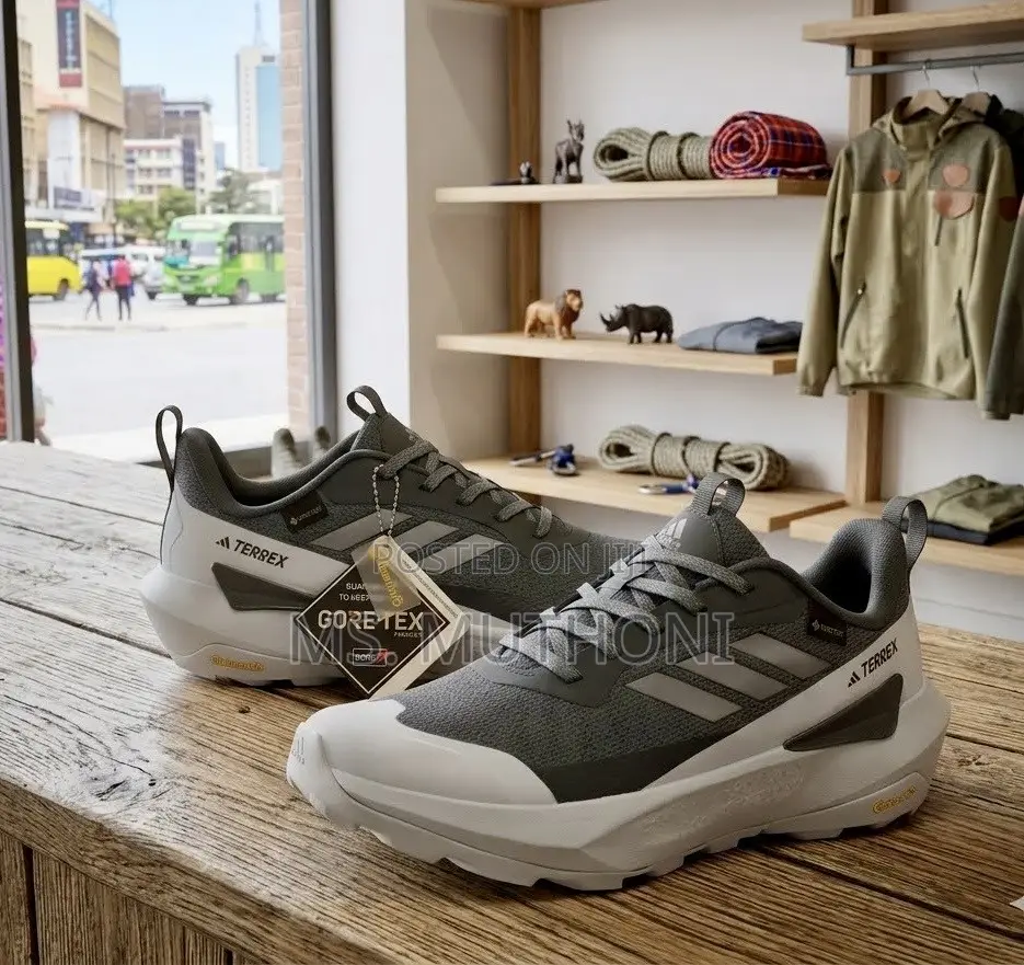 Quality Rugged Adidas Terrex GORE-TEX Outdoor Hiking Sneakers