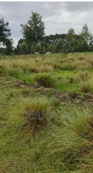 15 Acres on Sale in Rurii Nyandarua