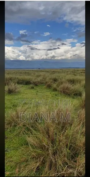 15 Acres on Sale in Rurii Nyandarua