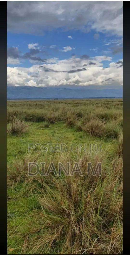 15 Acres on Sale in Rurii Nyandarua