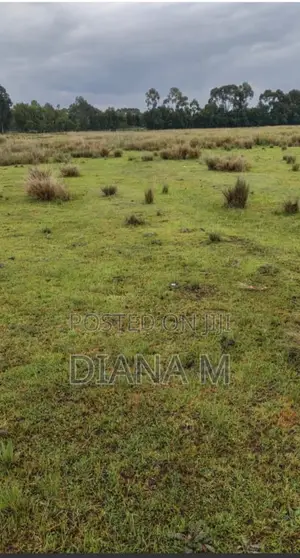 15 Acres on Sale in Rurii Nyandarua