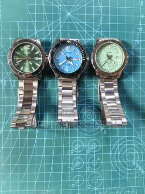 Casio Watches