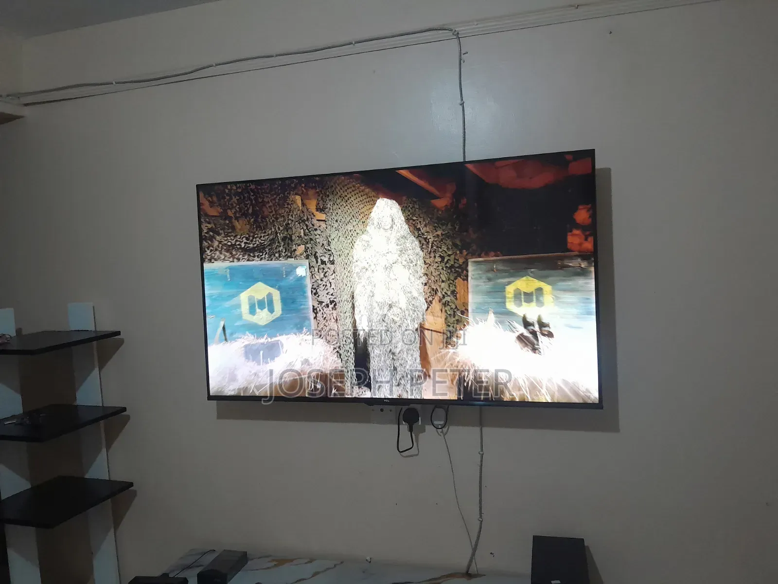 TCL Television