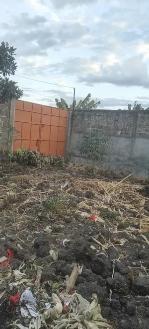 Mwihoko Plot 40x50