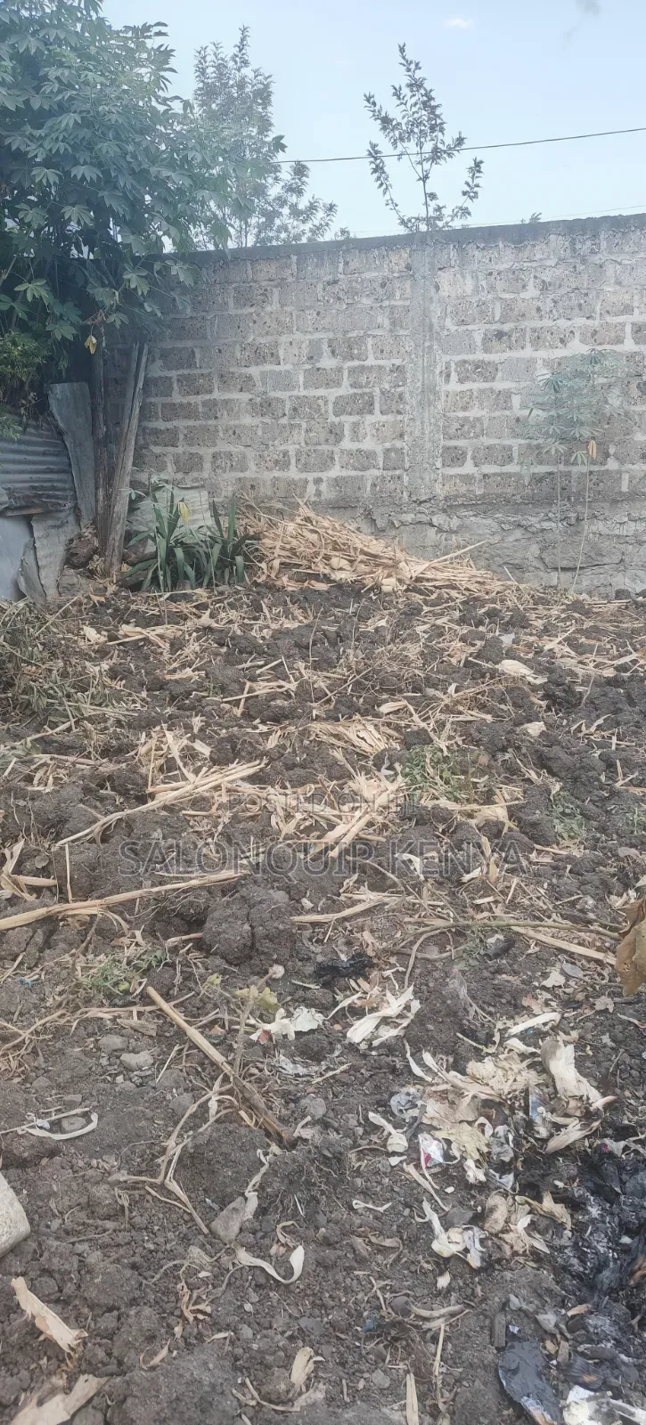 Mwihoko Plot 40x50