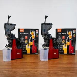 Healthy Lifestyle RAF R.2831 400Ml Slow Juicer Juice Extractor
