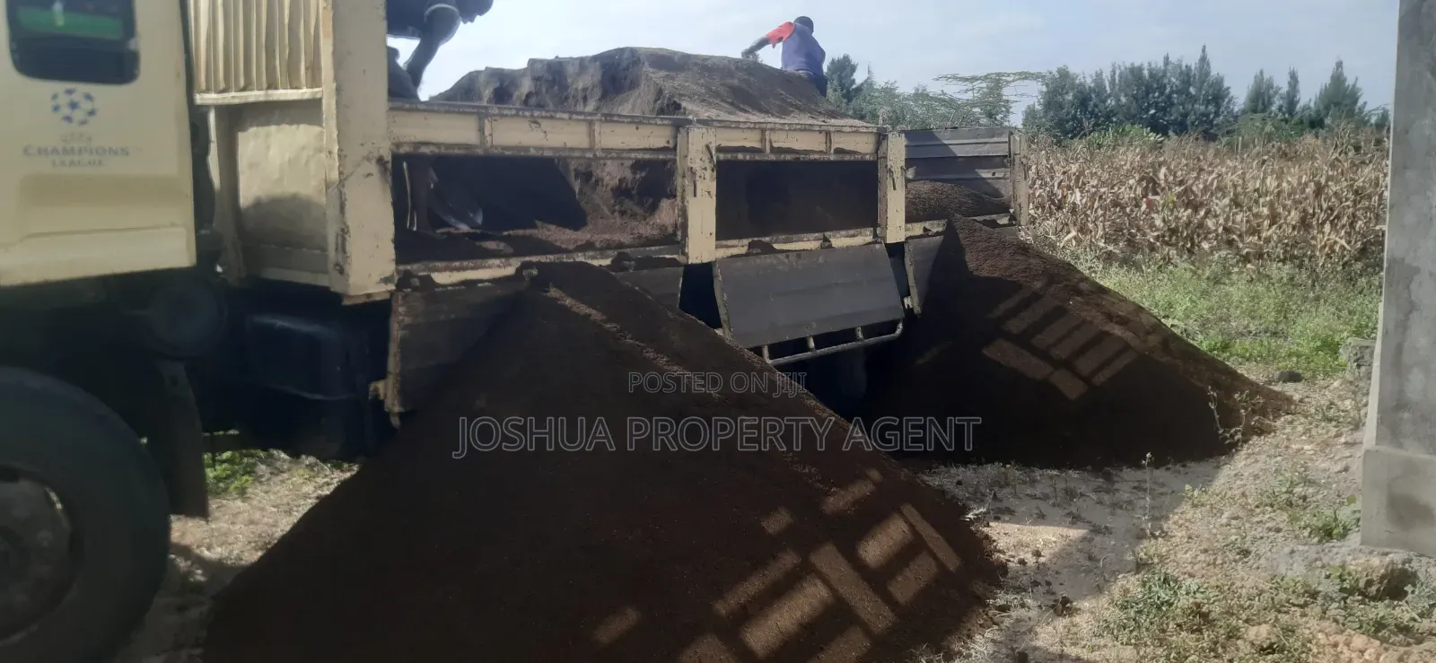 Sand for Sale