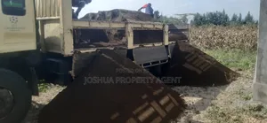 Sand for Sale
