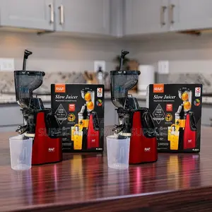 Low Noise Operation RAF R.2831 400Ml Slow Juicer Juice Extractor