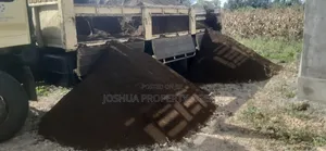 Sand for Sale