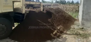 Sand for Sale
