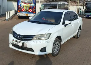 Toyota Axio 2011 White