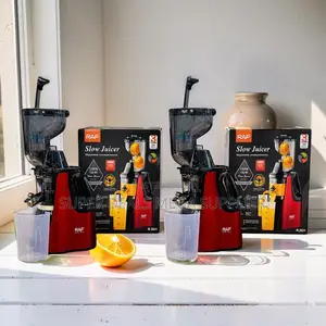 Smooth Performance RAF R.2831 400Ml Slow Juicer Juice Extractor