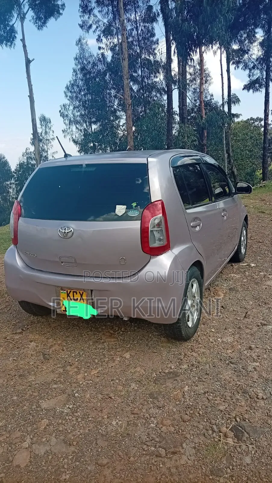 Toyota Passo 2013 Beige