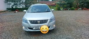 Toyota Premio 2011 Gray