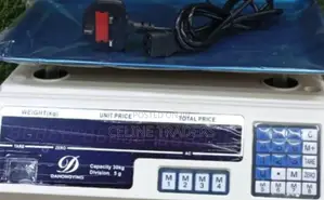ACS Flat Kitchen Scale