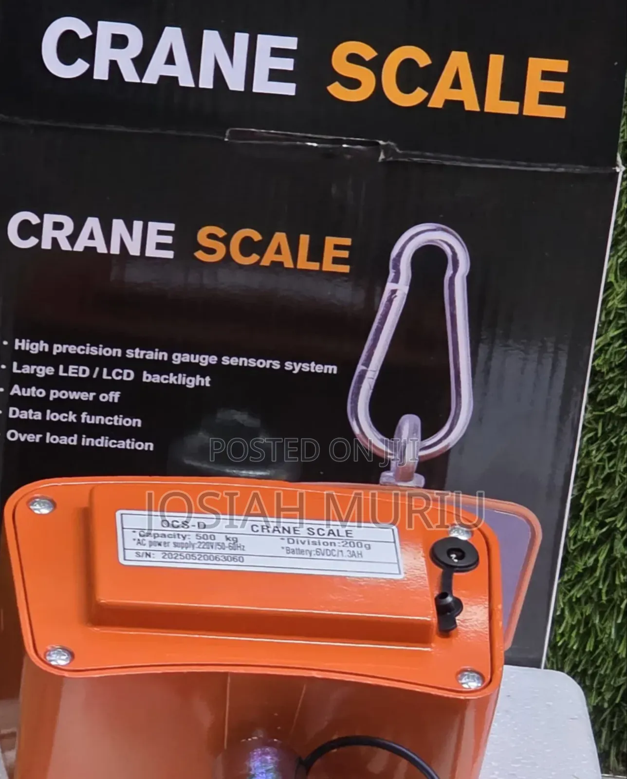 Electric 500kg Crane Scale
