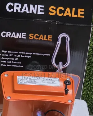 Electric 500kg Crane Scale