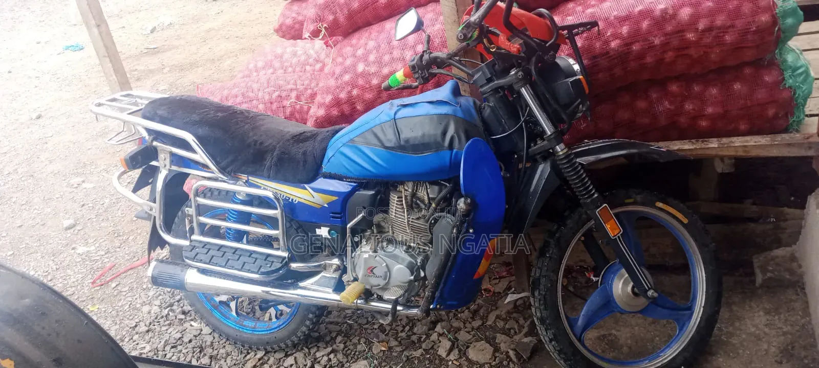 Captain CP150-10 2013 Blue
