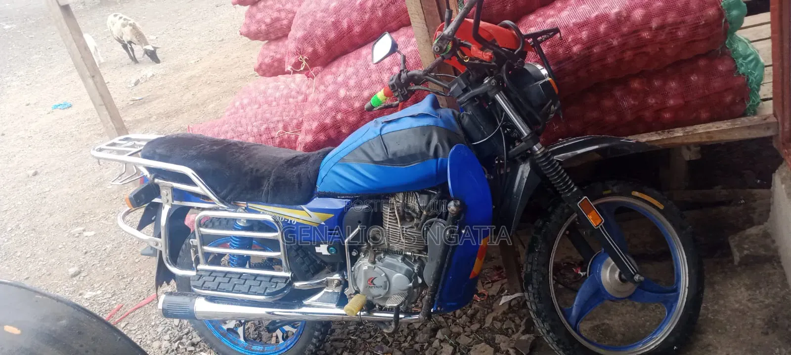 Captain CP150-10 2013 Blue