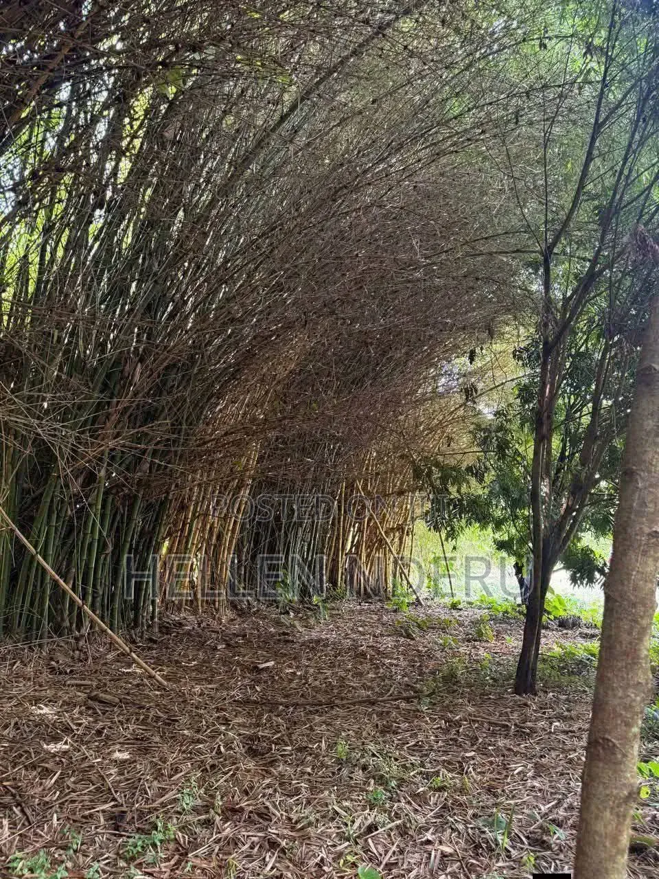 5 Acres for Sale in Karamaini Gated Community