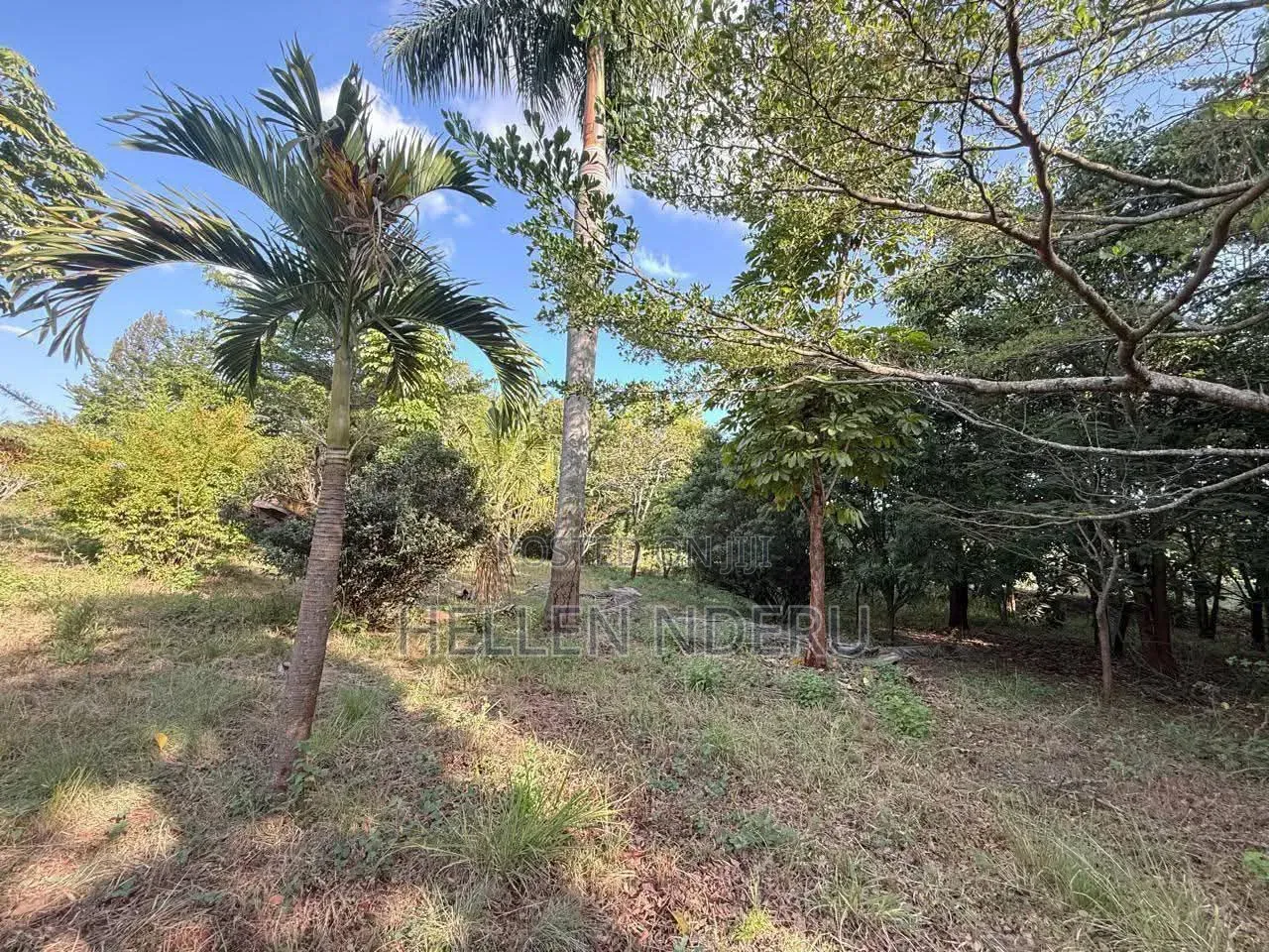 5 Acres for Sale in Karamaini Gated Community