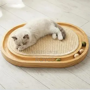 3 in 1 Cat Scratch Board