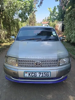 Toyota Probox 2010 Silver