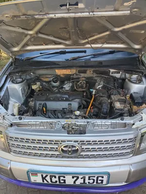 Toyota Probox 2010 Silver