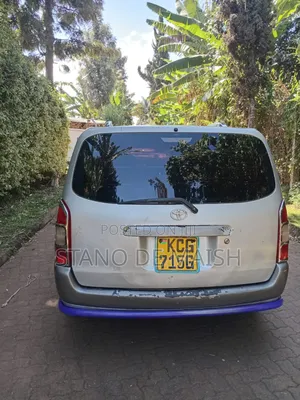 Toyota Probox 2010 Silver
