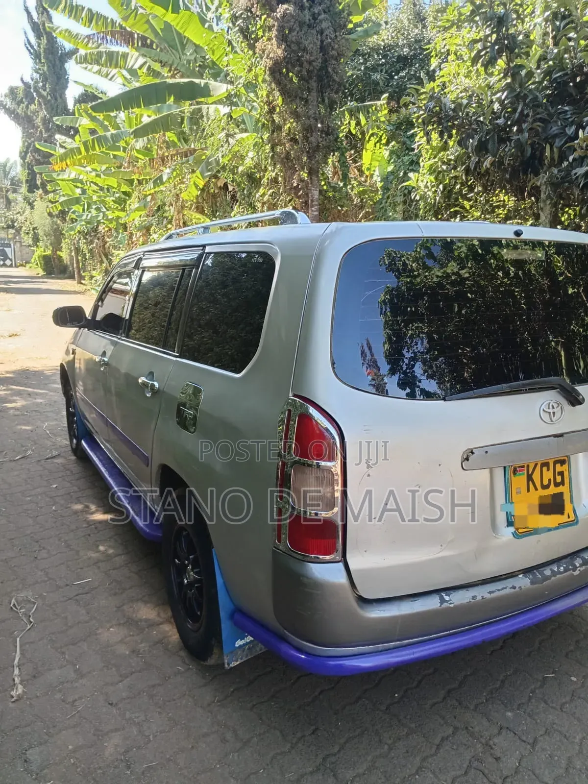 Toyota Probox 2010 Silver