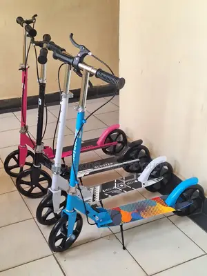 Kids Metallic Kick Scooters With Two Wheels