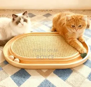 3 in 1 Cat Scratch Board