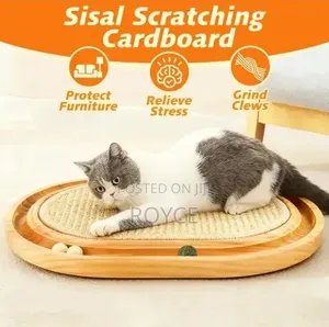 3 in 1 Cat Scratch Board